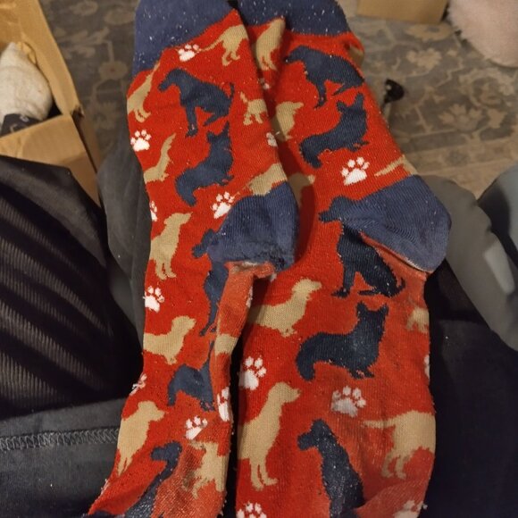 dog socks - Picture 1 of 1